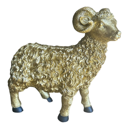 GOLD CURLY HAIR SHEEP WITH HORNS