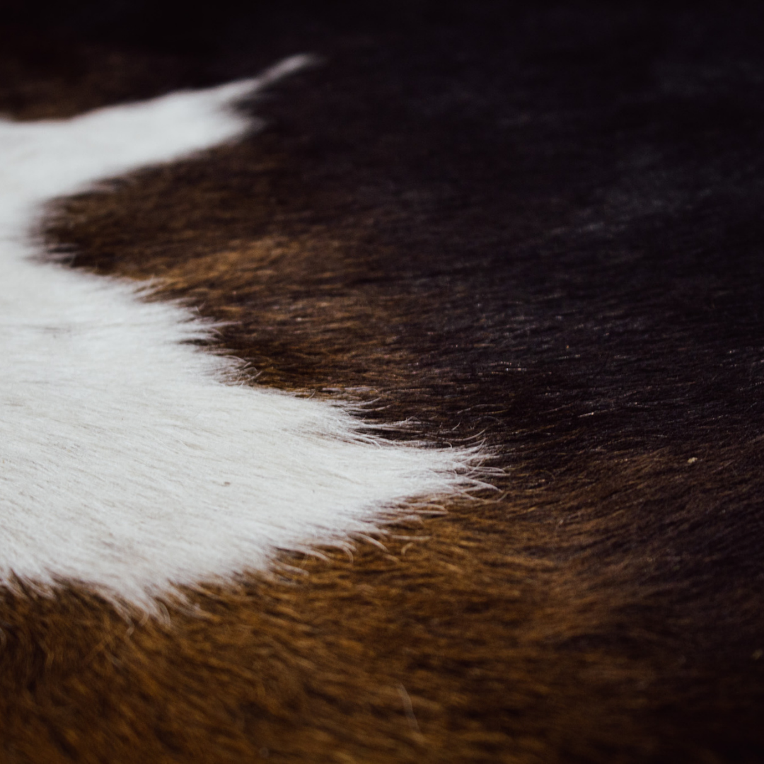 NGUNI HIDES
