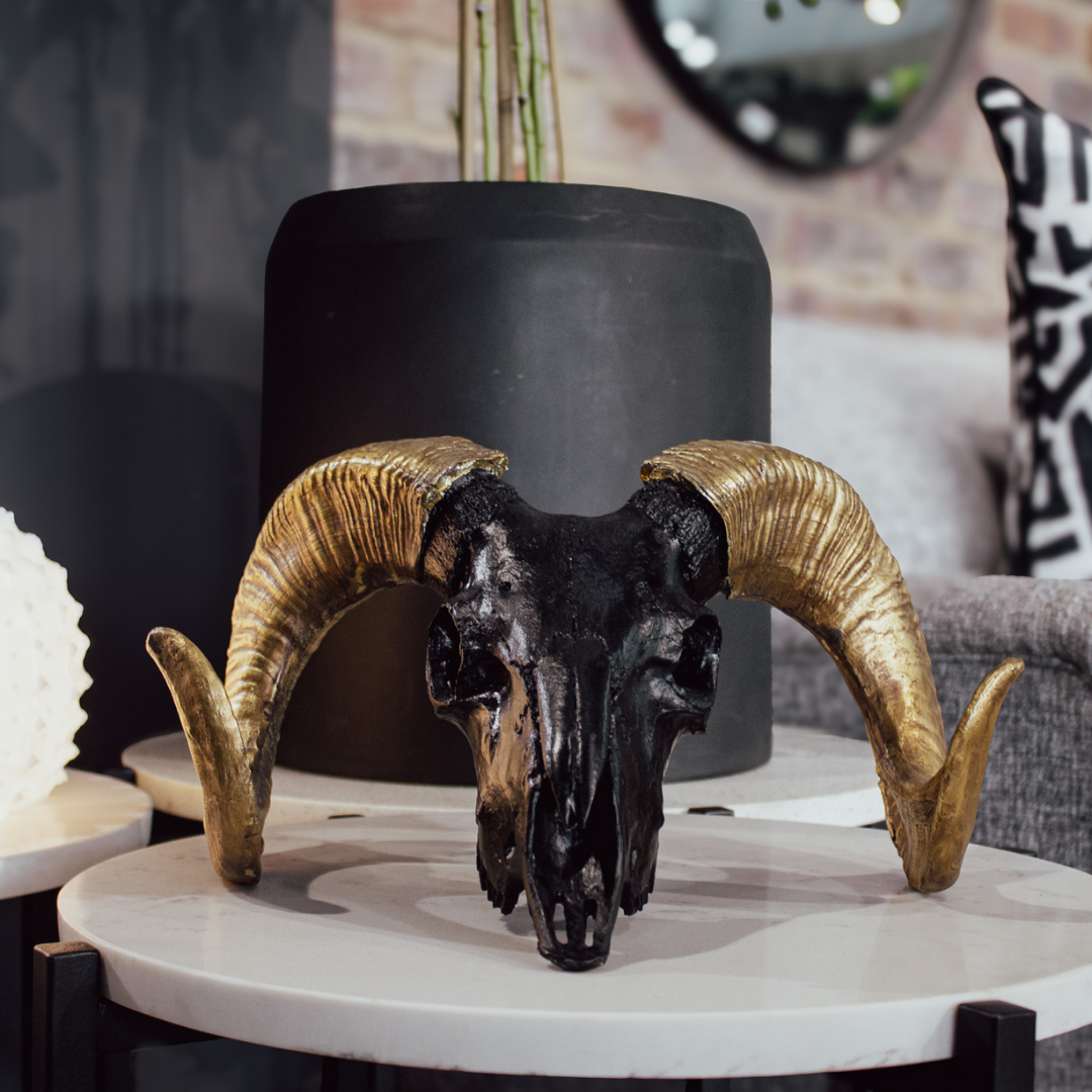 CORAL RESIN RAMS SKULL BLACK