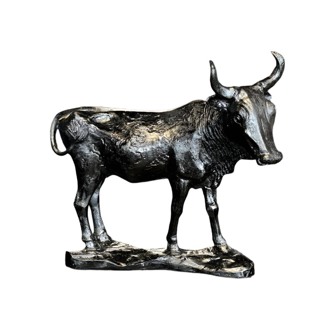 NGUNI