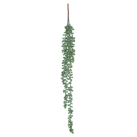 PEARL SUCCULENT STRING 60CM