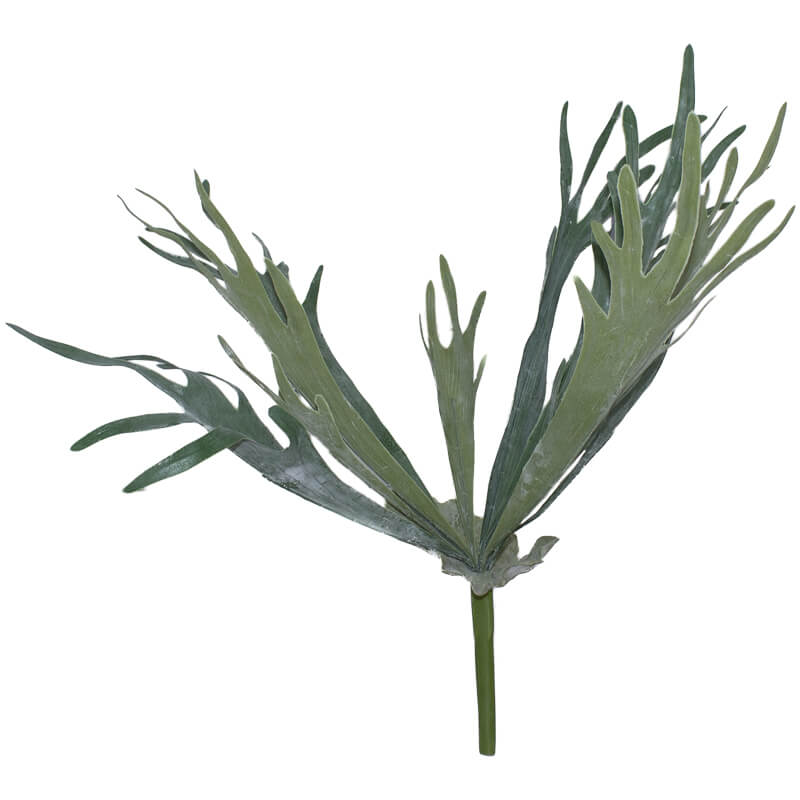 STAGHORN PLANT 50CM