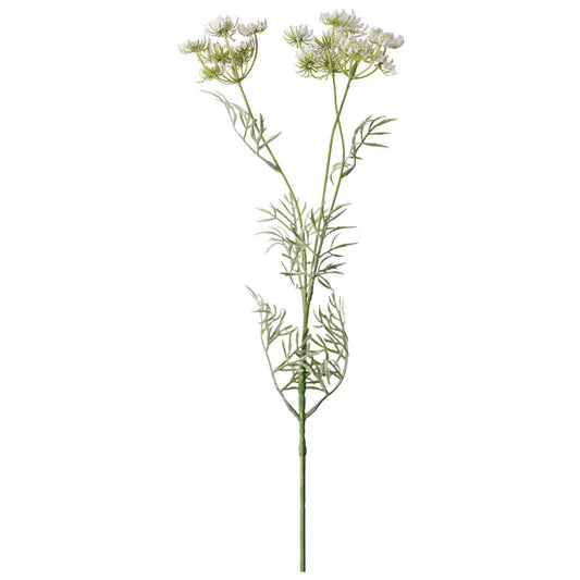 QUEEN ANNE LACE STEM 85 CM