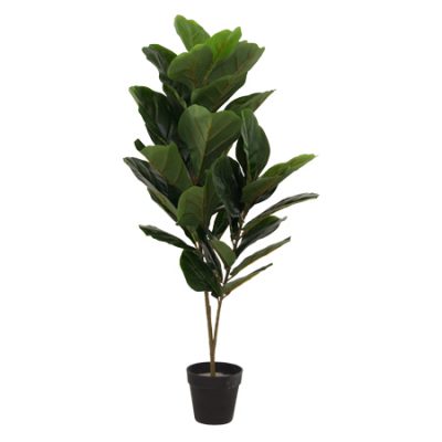 FIDDLE LEAF FIG 90CM