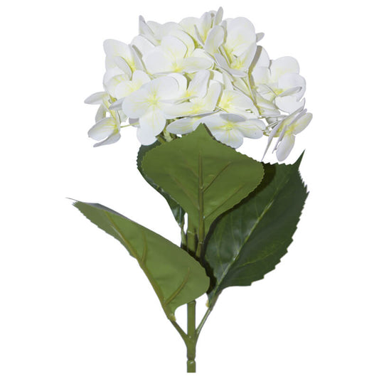 CREAM HYDRANGEA STEM 68CM