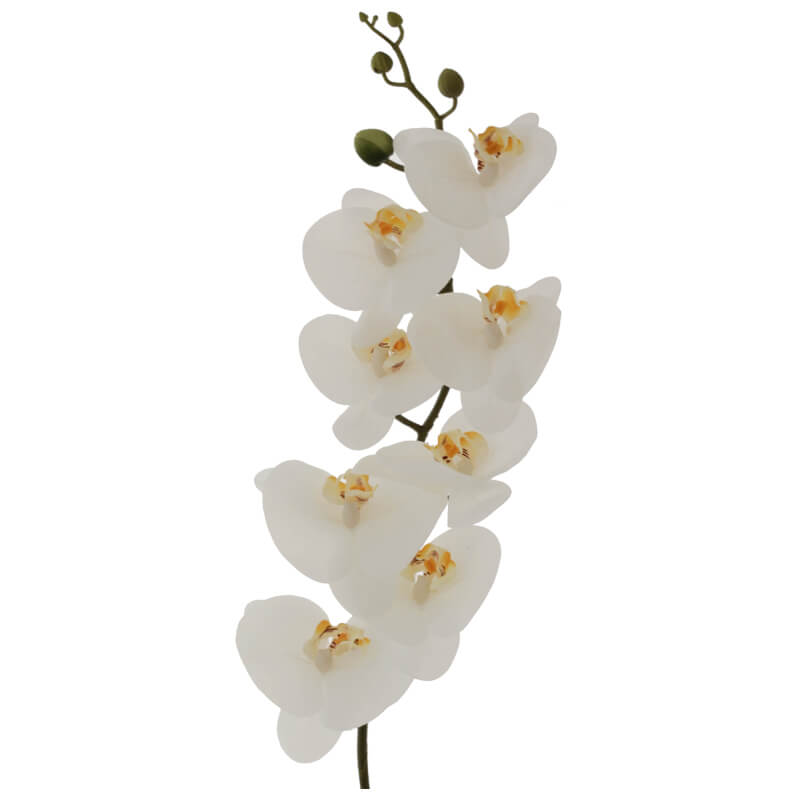 WHITE ORCHID 88CM