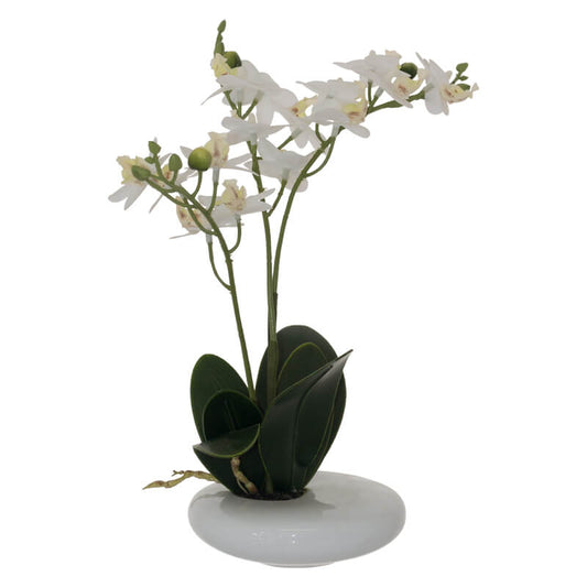 WHITE REAL TOUCH ORCHID 30CM