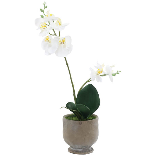 REAL TOUCH WHITE ORCHID IN POT 41