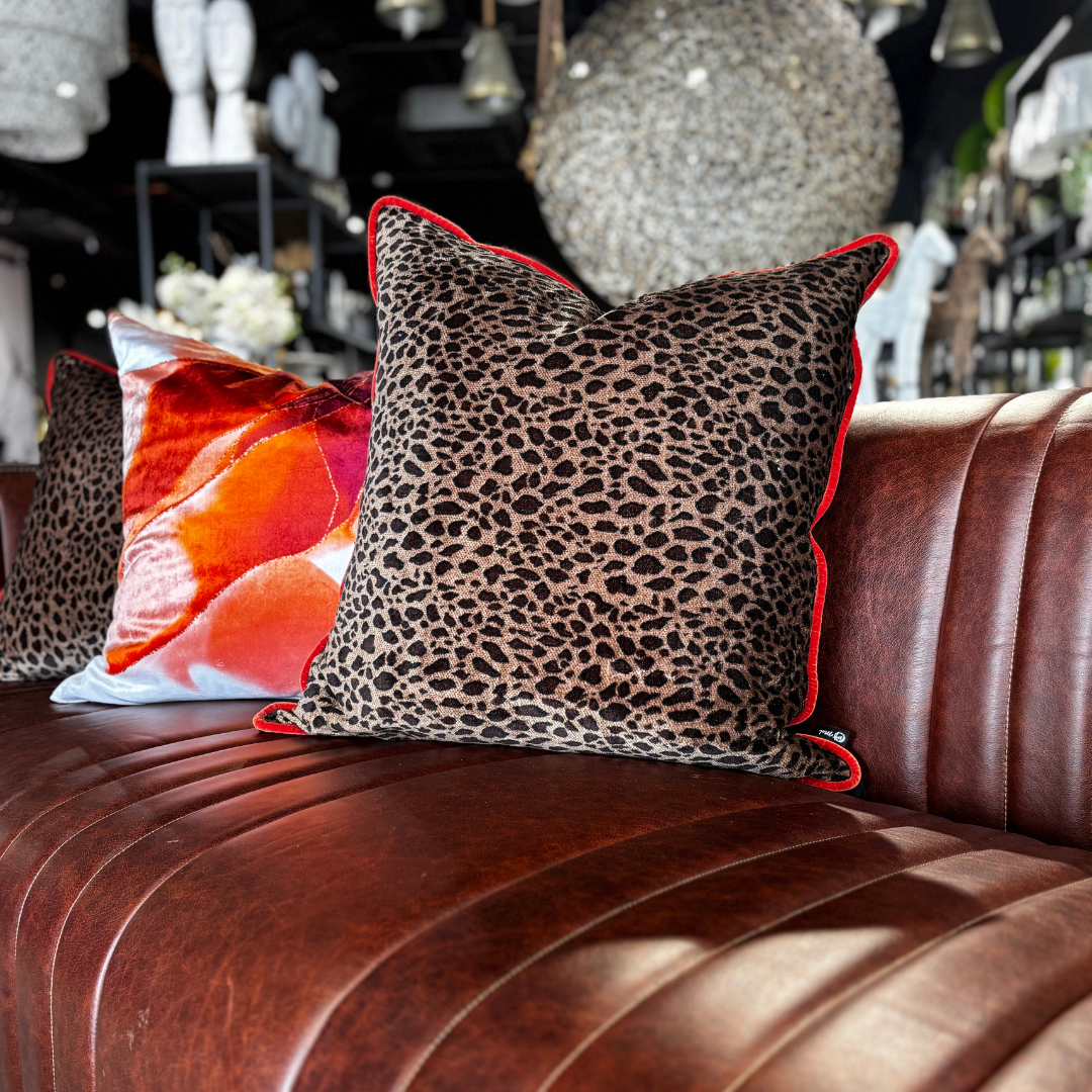 Add Pops of Colour to Your Home, Space, or Office with Scatters
