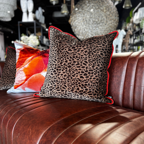 Add Pops of Colour to Your Home, Space, or Office with Scatters