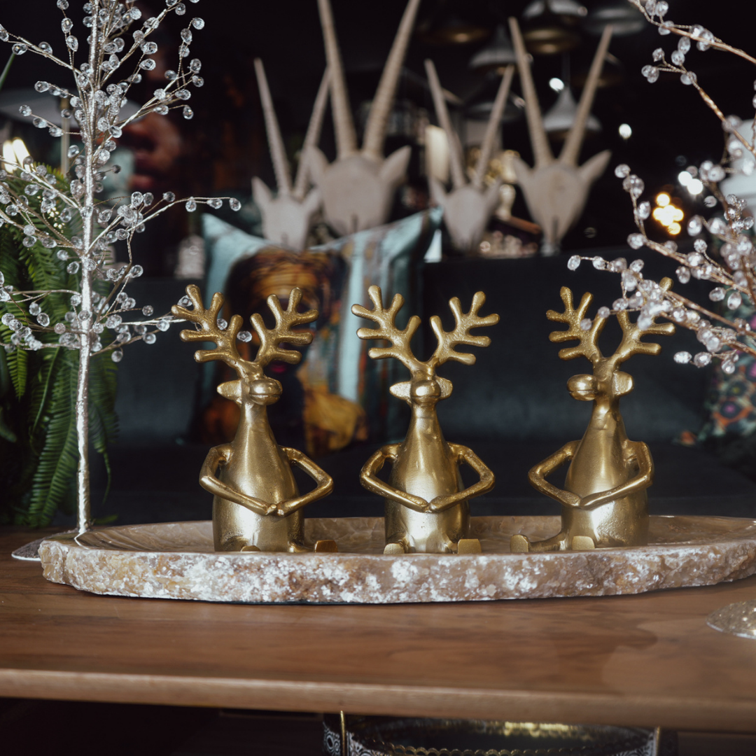 FESTIVE COLLECTION
