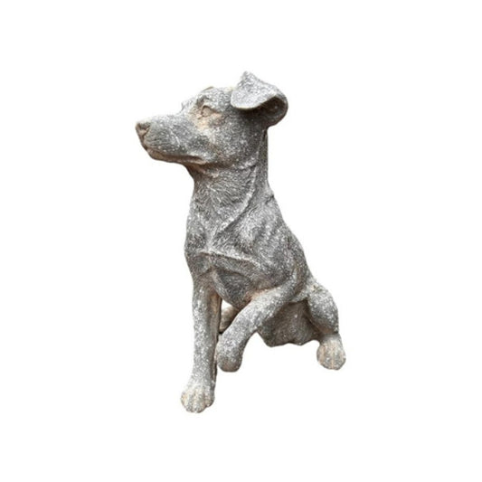 GREY AND WHITE DOG SITTING GIVING PAW