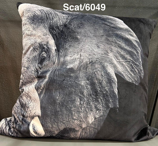 SCAT/6049 MAJESTIC WILDS