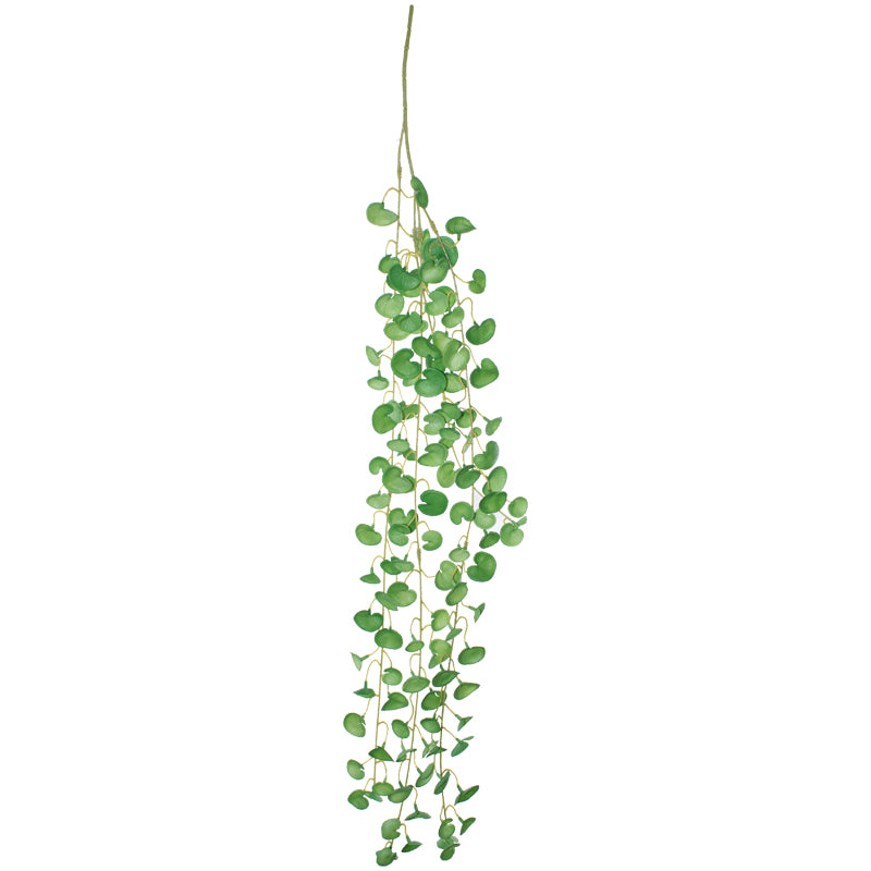 COIN LEAF HANGING PLANT 90CM