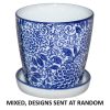 PAROS PLANTER MIXED 11CM TRAY