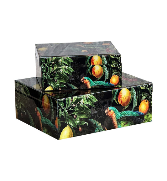 GLASS BOX TROPICAL PARROT GREEN LARGE