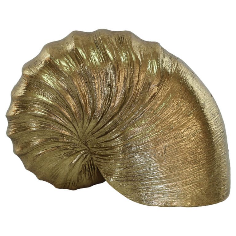 GOLD NAUTILUS SHELL 15CM