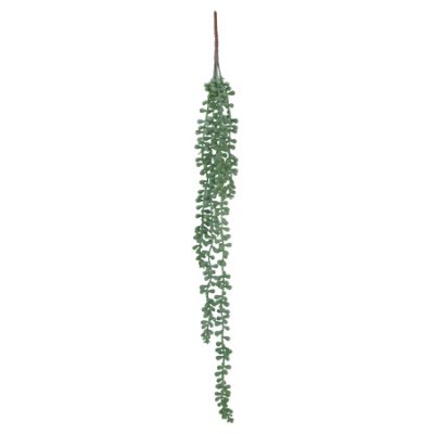 PEARL SUCCULENT STRING 60CM