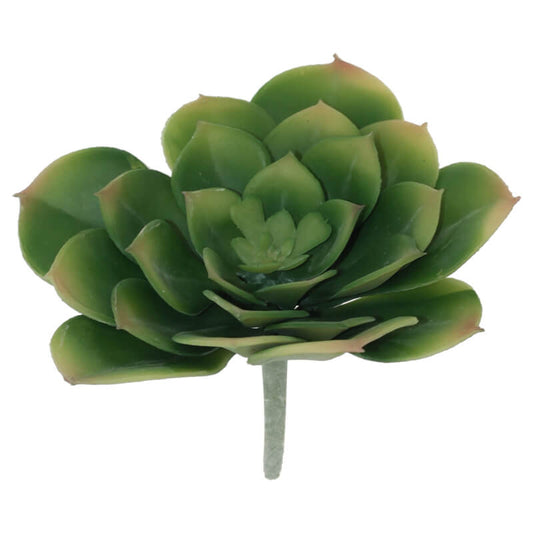 GREEN DESSERT ROSE 11X13CM