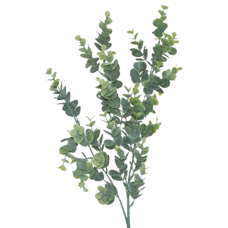 EUCALYPTUS PLANT 85 CM