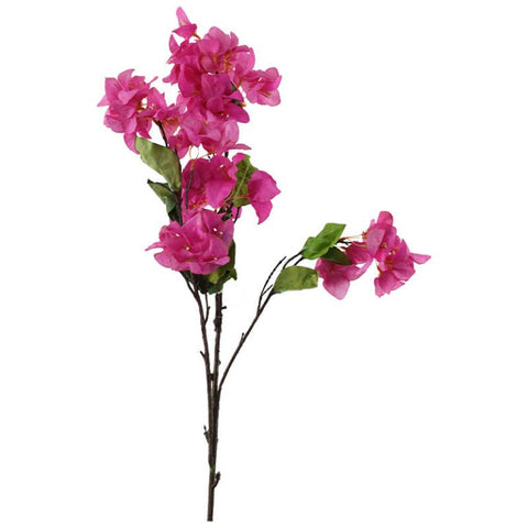BOUGAINVILLEA 105CM