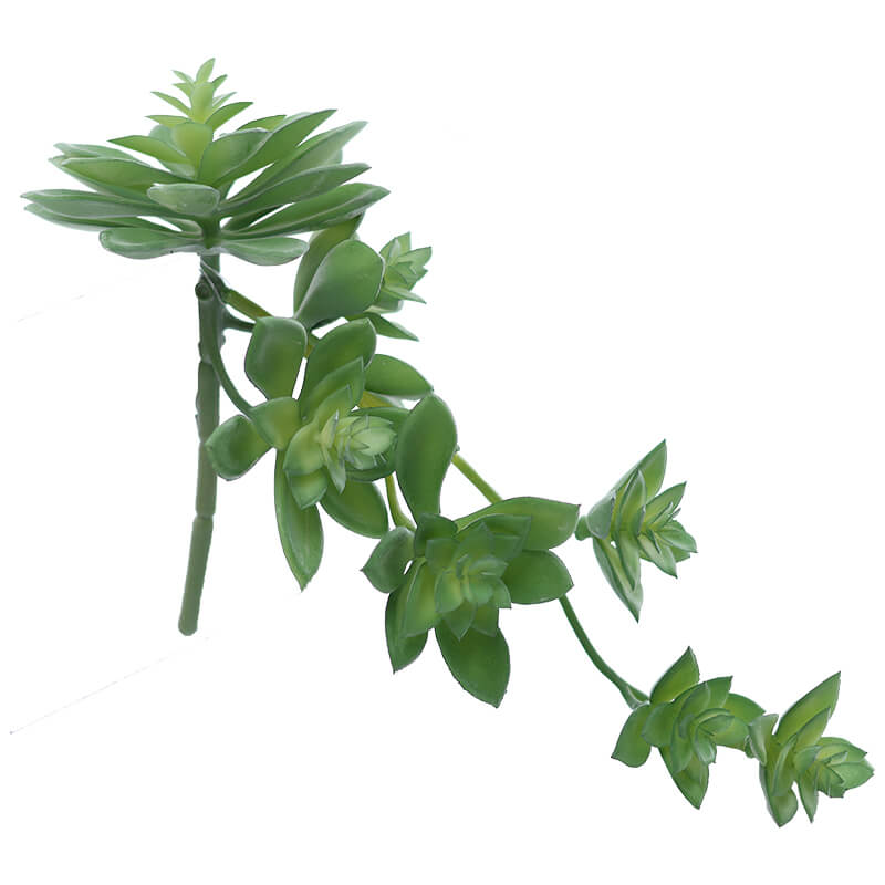 GREEN DESERT ROSE 26X16CM
