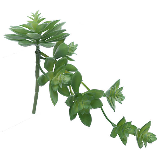 GREEN DESERT ROSE 26X16CM