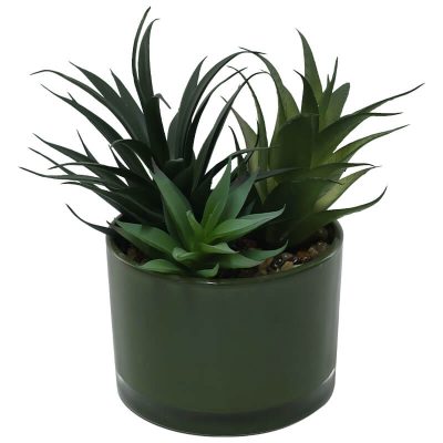SUCCULENTS GREEN POT 18CM
