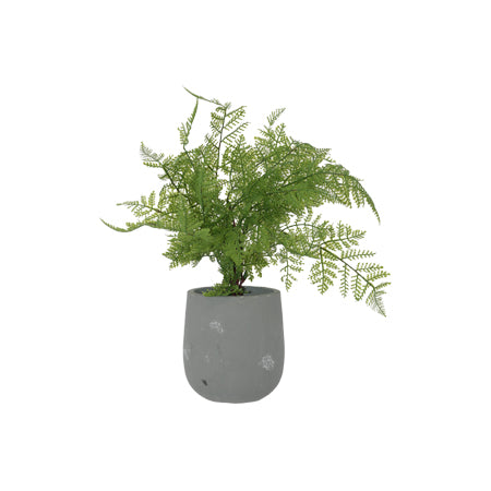 FERN POTTED PLANT 40CM