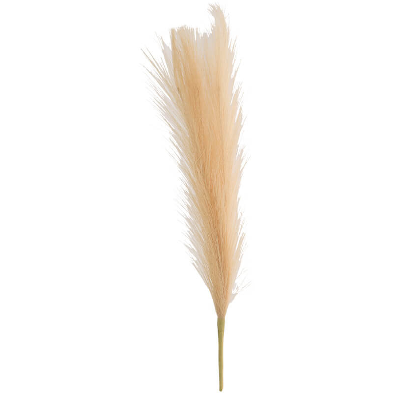 OATMEAL PAMPAS GRASS 44CM
