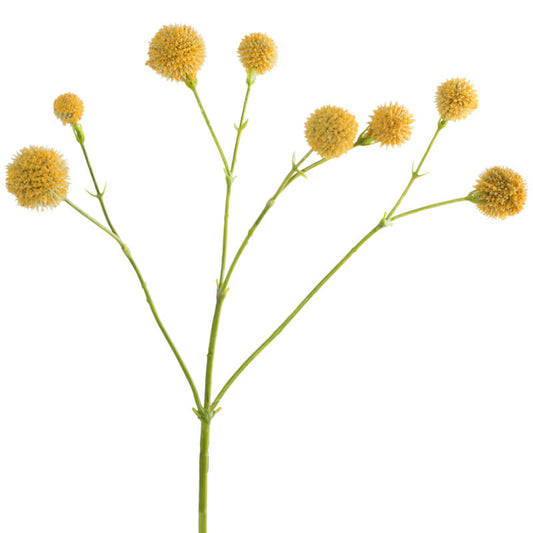 CAMOMILE STEM 50CM