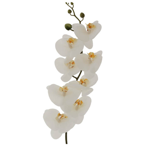 WHITE ORCHID 88CM