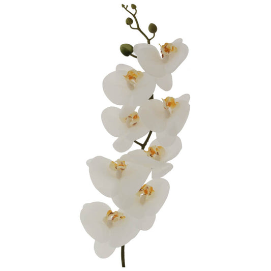 WHITE ORCHID 88CM