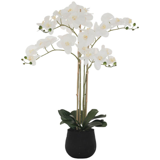 WHITE ORCHID 90CM