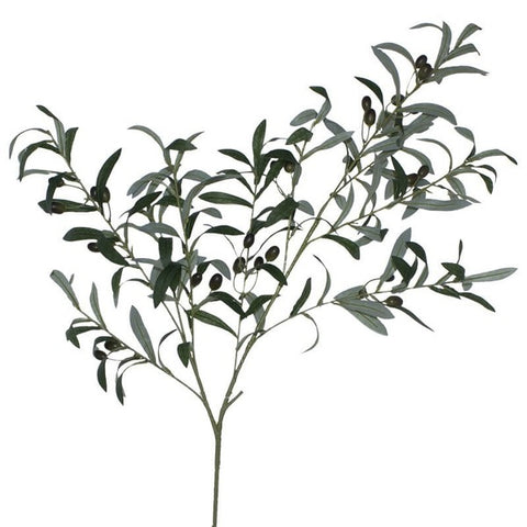 OLIVE BRANCH 100CM