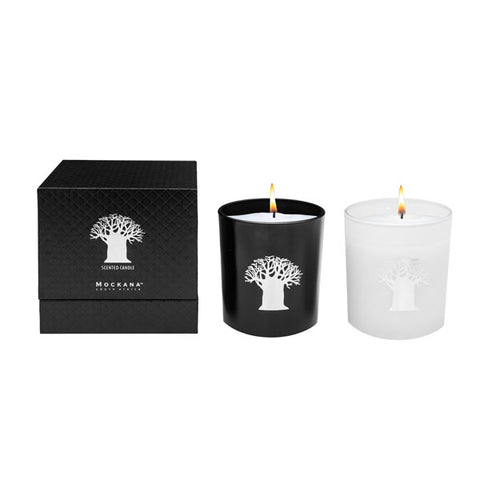 SOY CANDLE 220GM IN BLACK JAR & BLACK BOX CAPE FYNBOS